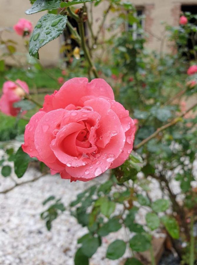 Villenauxe Le Moulin De Cutesson O Dela Du M Bed & Breakfast エクステリア 写真